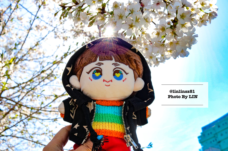f:id:linlinsz81:20210411005425j:plain