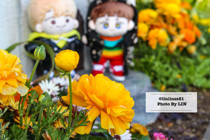 f:id:linlinsz81:20210411010144j:plain