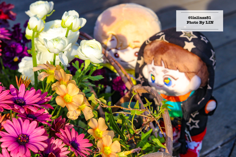 f:id:linlinsz81:20210411010535j:plain