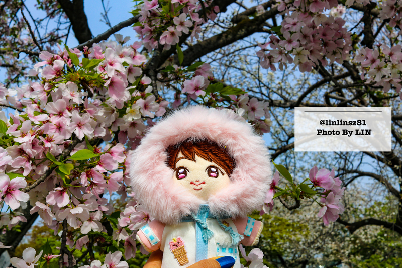 f:id:linlinsz81:20210411013146j:plain
