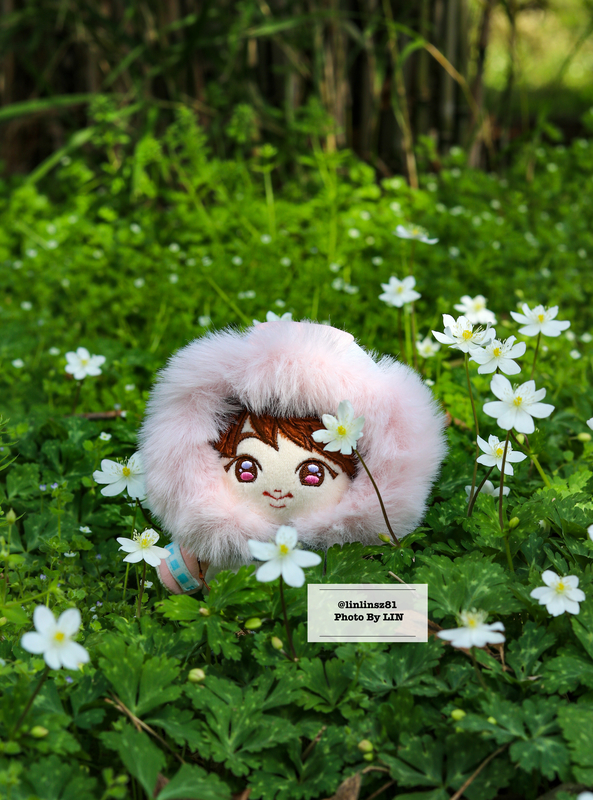 f:id:linlinsz81:20210411013602j:plain