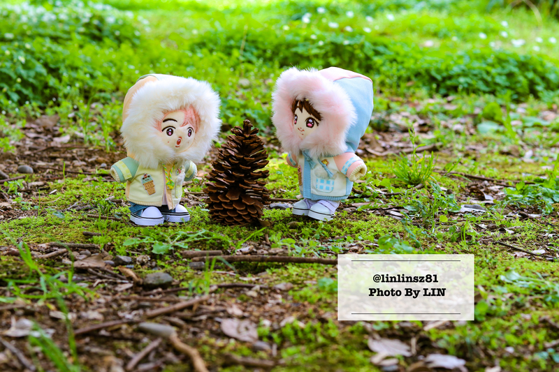 f:id:linlinsz81:20210411221918j:plain