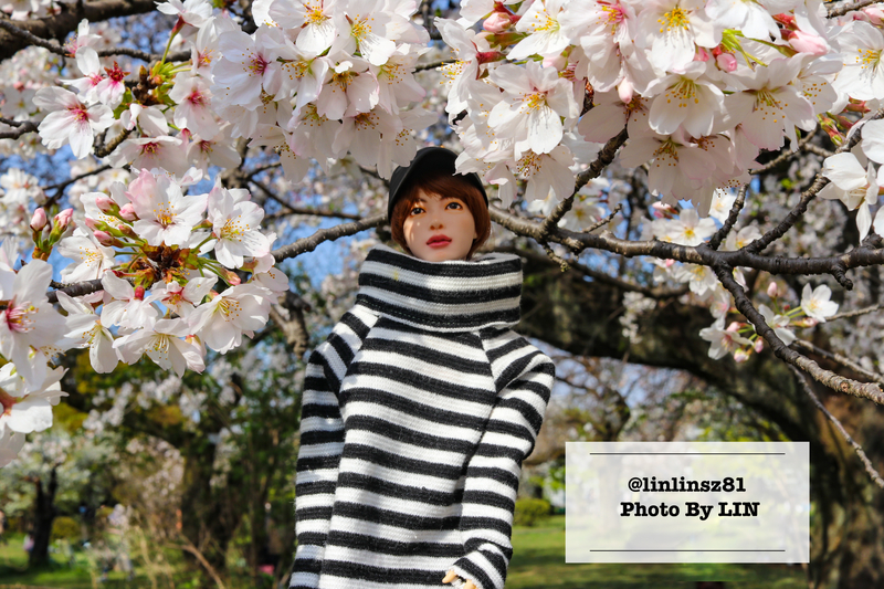 f:id:linlinsz81:20210411222234j:plain