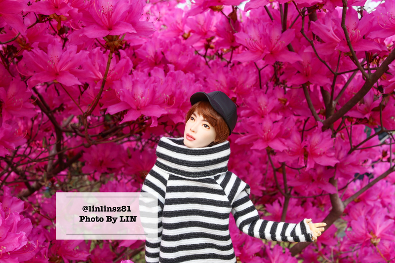 f:id:linlinsz81:20210411224131j:plain