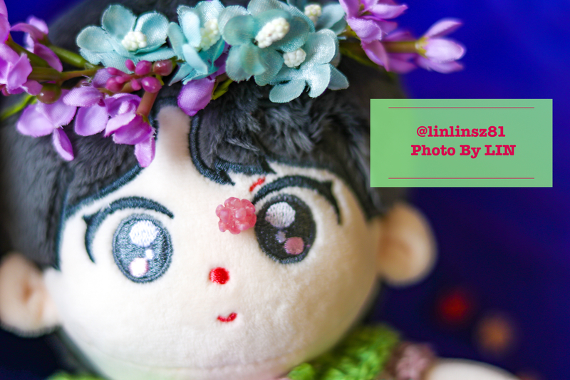 f:id:linlinsz81:20210412000122j:plain