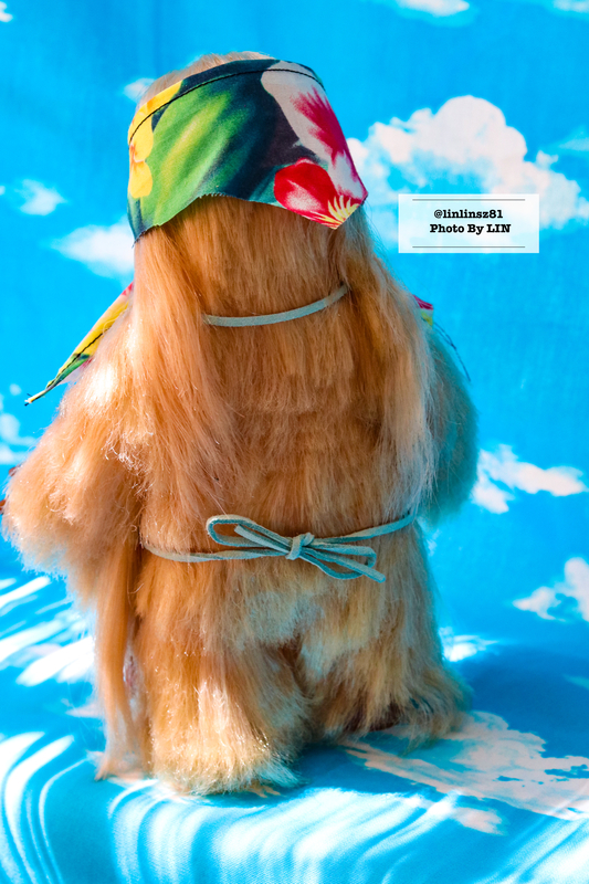 f:id:linlinsz81:20210609093924j:plain