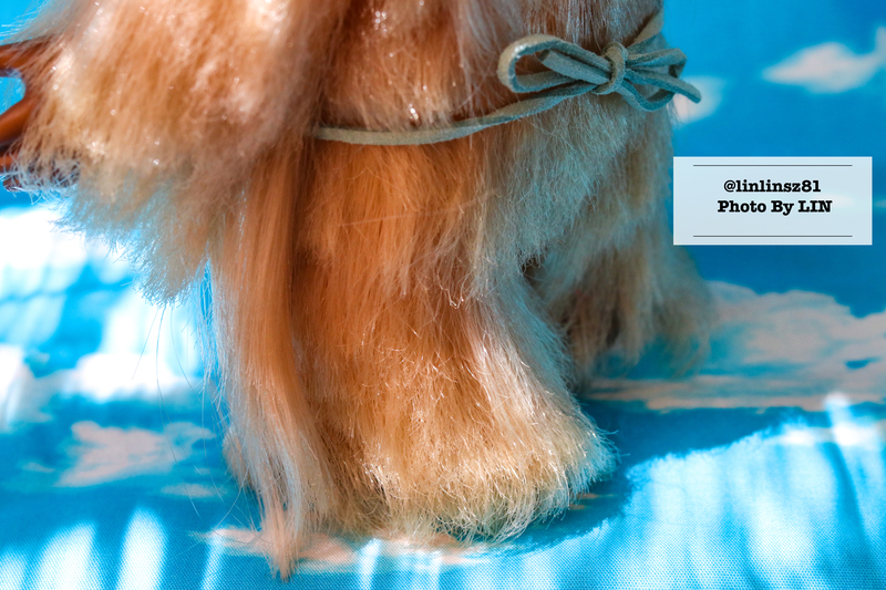 f:id:linlinsz81:20210609093950j:plain