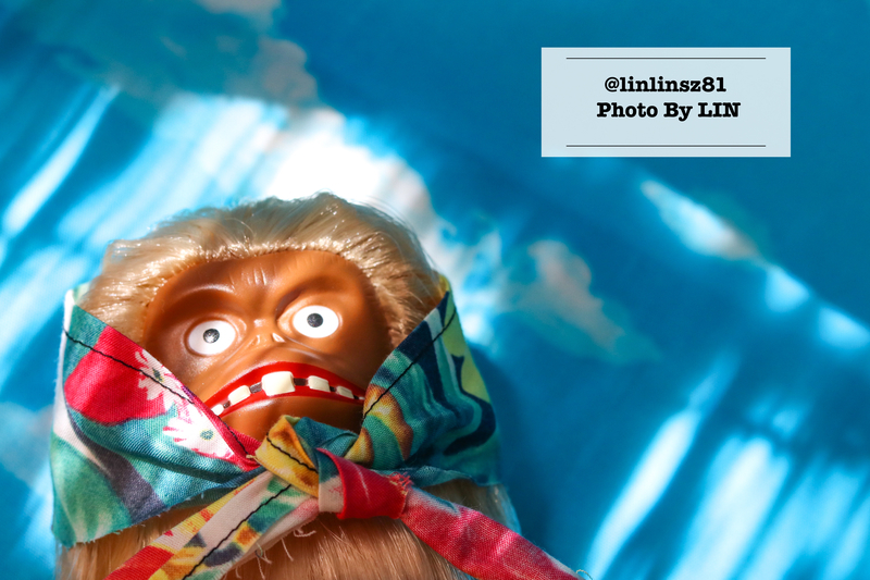 f:id:linlinsz81:20210609094353j:plain