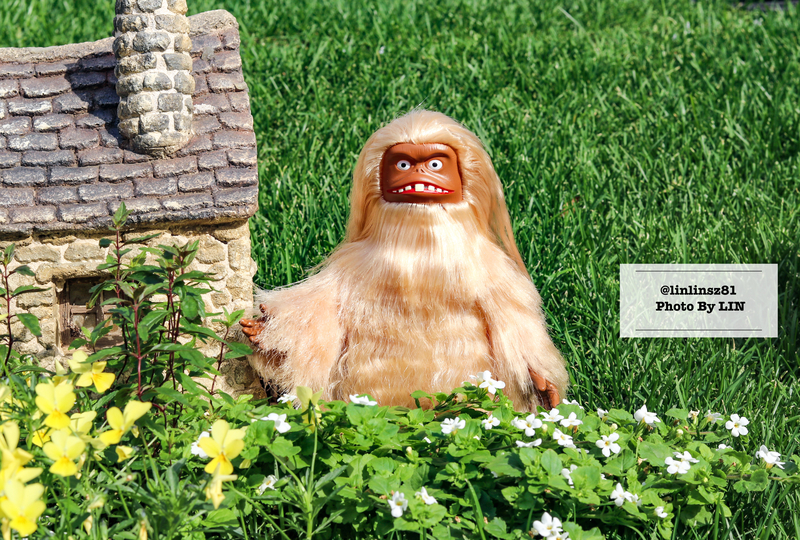 f:id:linlinsz81:20210609100148j:plain