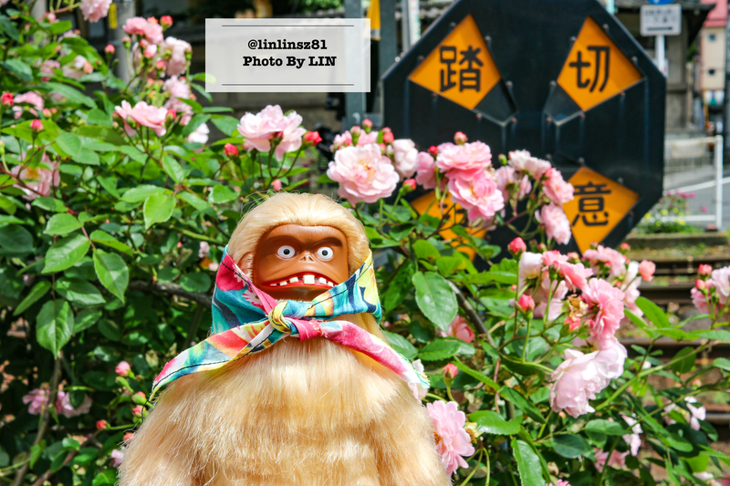 f:id:linlinsz81:20210609100447j:plain