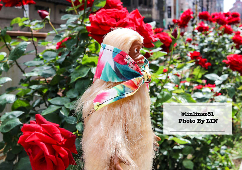 f:id:linlinsz81:20210609100513j:plain