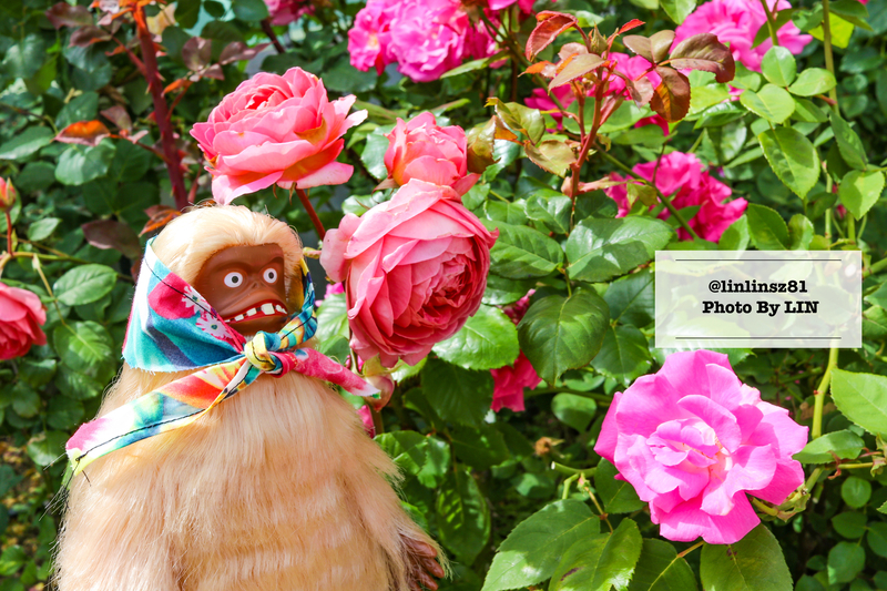 f:id:linlinsz81:20210609100540j:plain