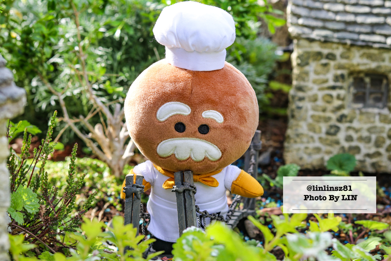 f:id:linlinsz81:20210609100655j:plain