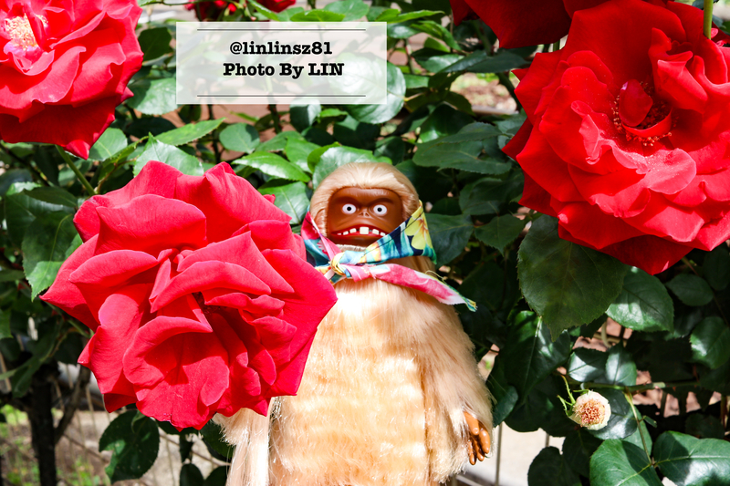 f:id:linlinsz81:20210609100724j:plain