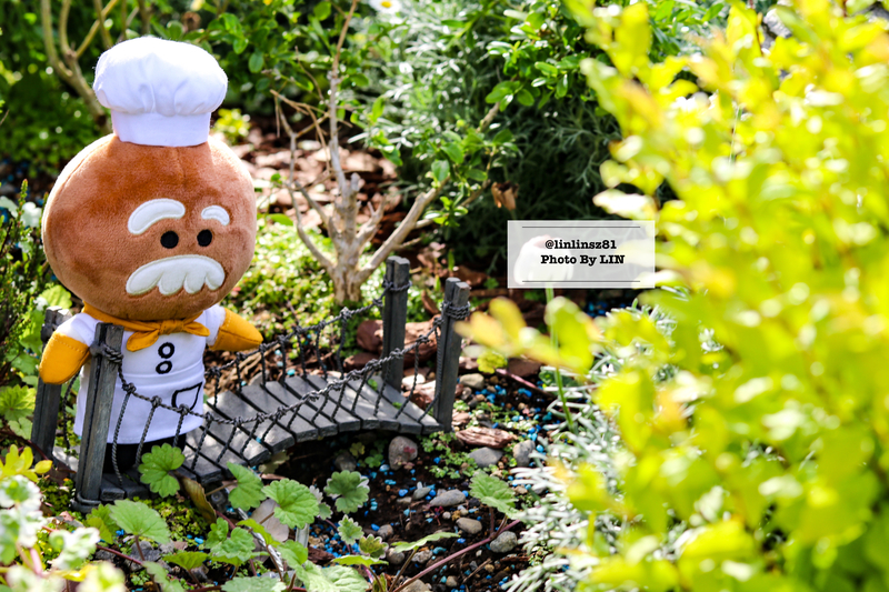 f:id:linlinsz81:20210609100905j:plain