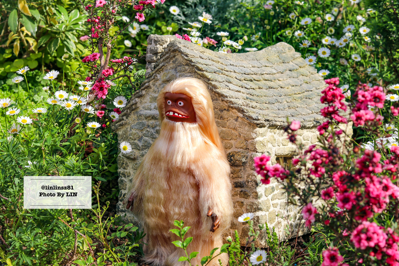 f:id:linlinsz81:20210609101019j:plain