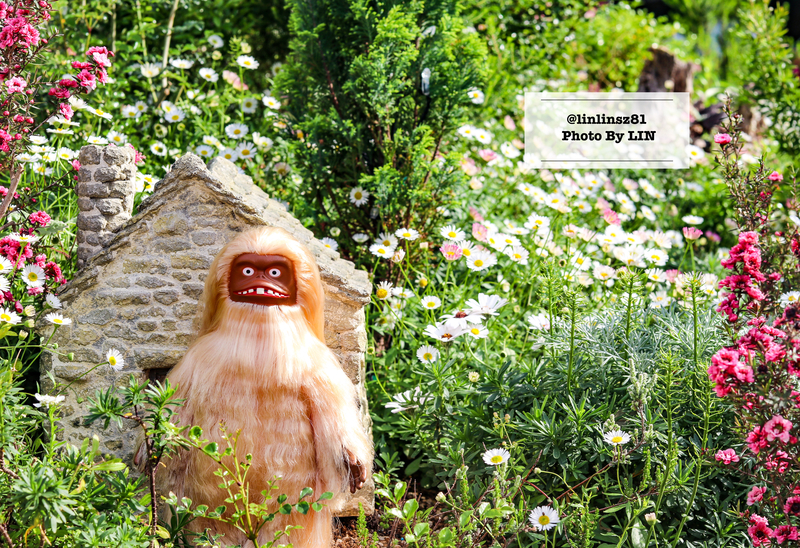 f:id:linlinsz81:20210609101059j:plain