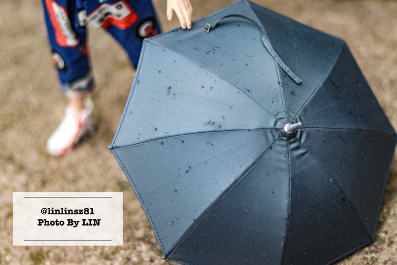 f:id:linlinsz81:20210609102816j:plain