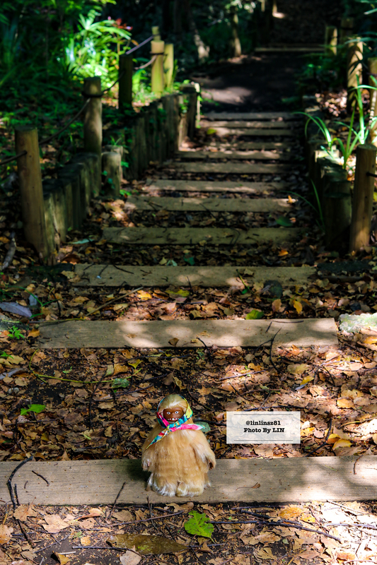 f:id:linlinsz81:20210609104449j:plain