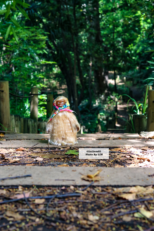 f:id:linlinsz81:20210609104515j:plain