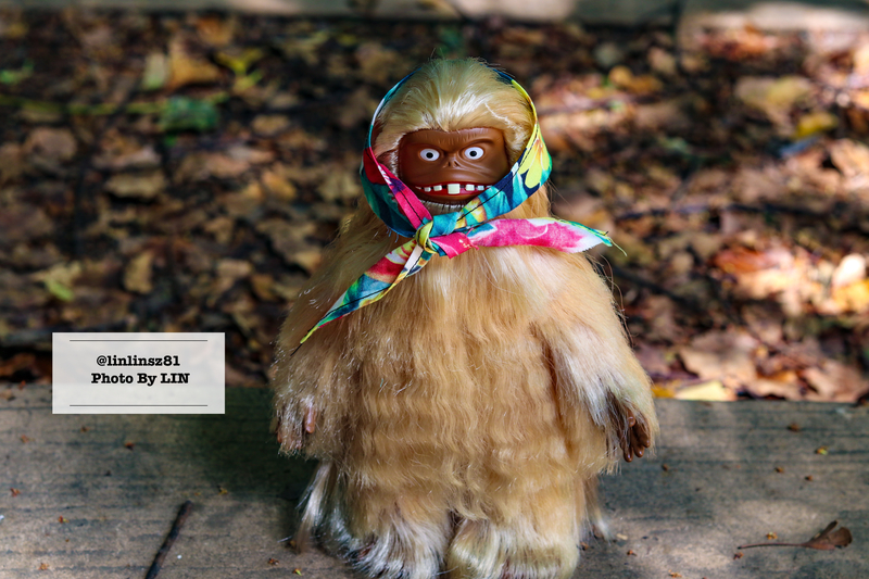 f:id:linlinsz81:20210609104912j:plain