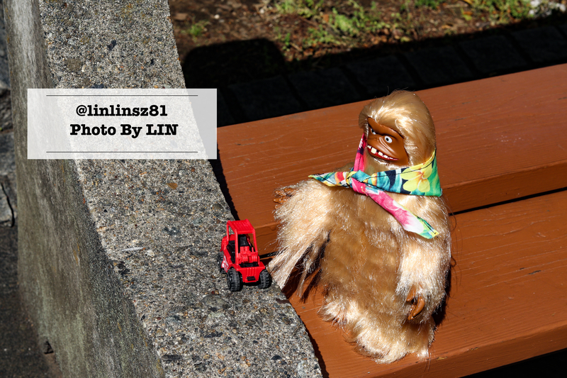 f:id:linlinsz81:20210609104941j:plain