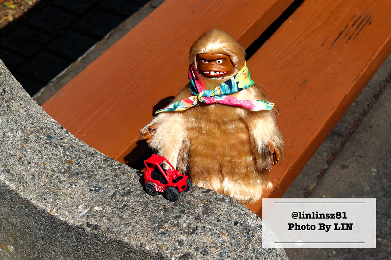 f:id:linlinsz81:20210609105016j:plain