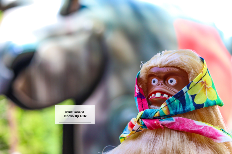 f:id:linlinsz81:20210609105208j:plain