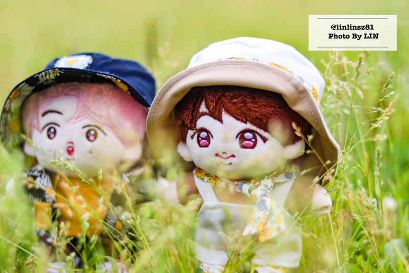 f:id:linlinsz81:20210609221131j:plain