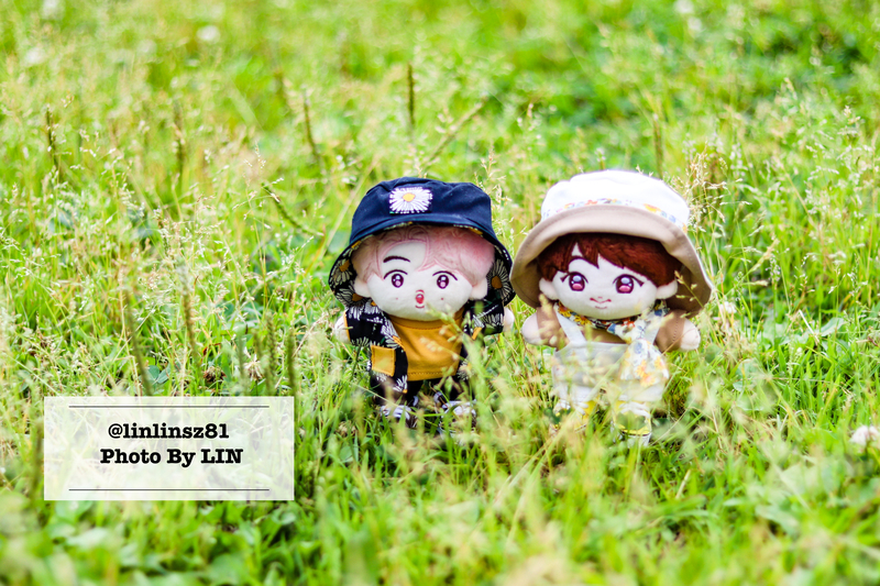 f:id:linlinsz81:20210609221155j:plain