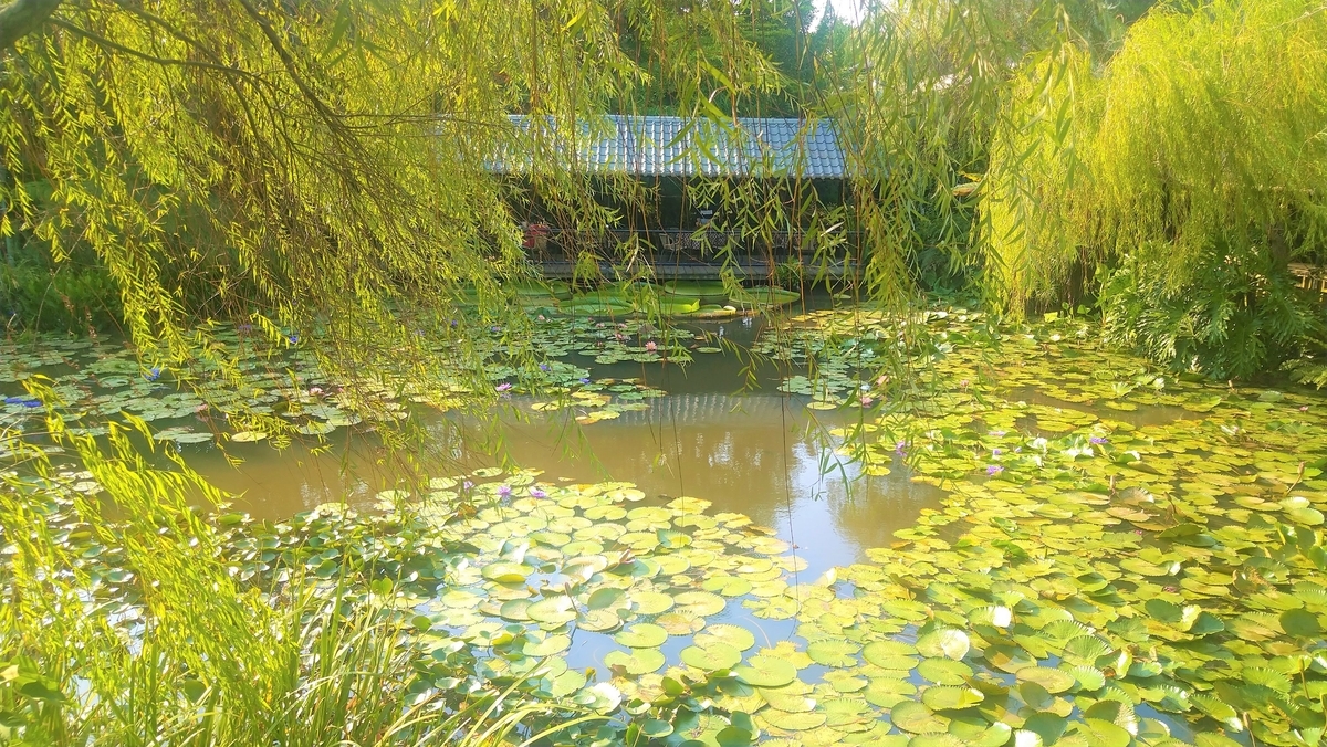 桃園情報｜莫內の花園｜台湾女子、鈴鈴の台湾ガイドブック9