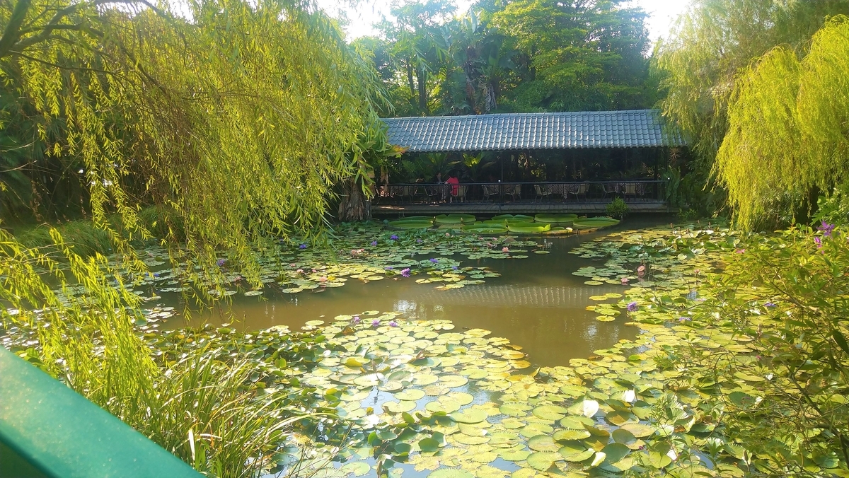 桃園情報｜莫內の花園｜台湾女子、鈴鈴の台湾ガイドブック10