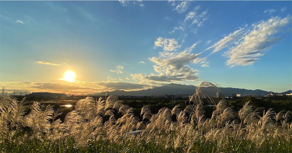 f:id:linmu41:20201025184247j:image f:id:linmu41:20201025184247j:image