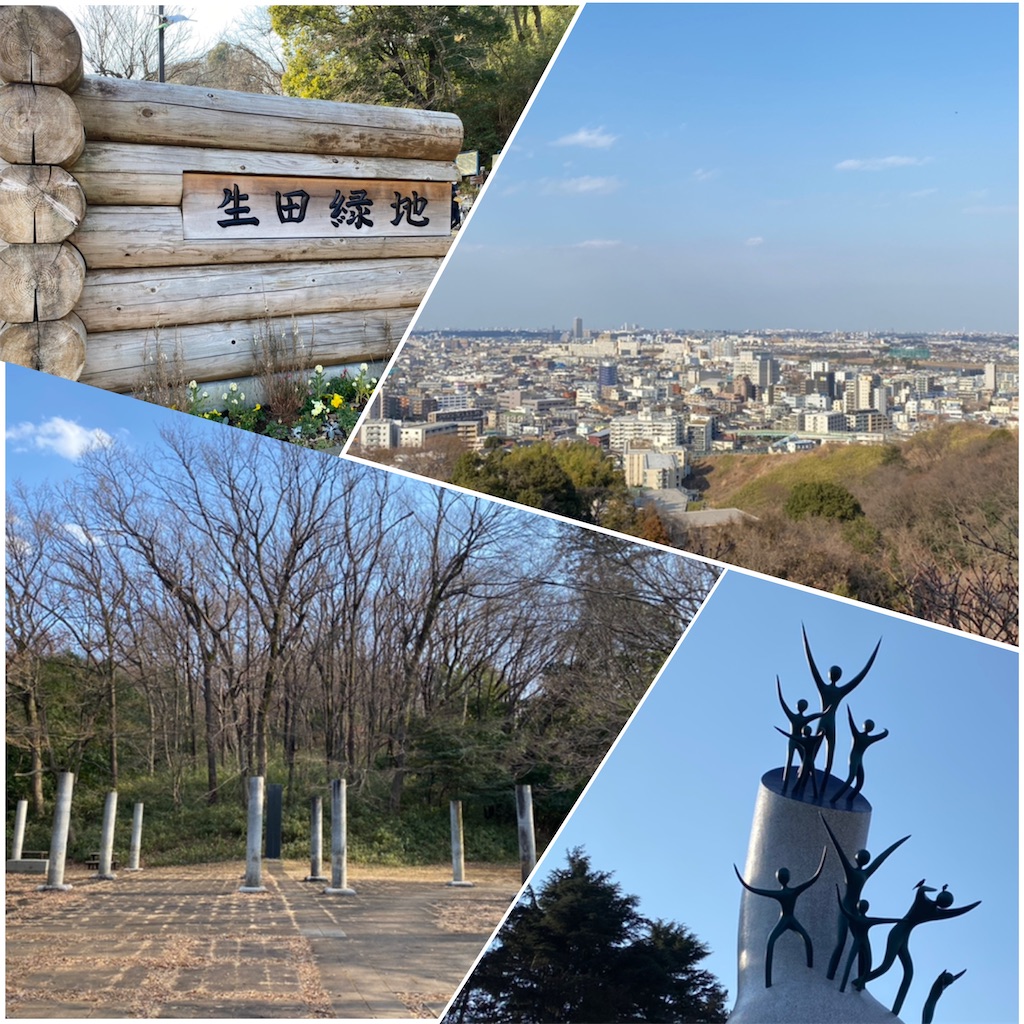 f:id:linmu41:20210207191023j:image f:id:linmu41:20210207191023j:image
