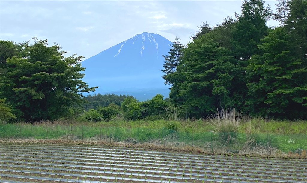 f:id:linmu41:20210614220707j:image f:id:linmu41:20210614220707j:image