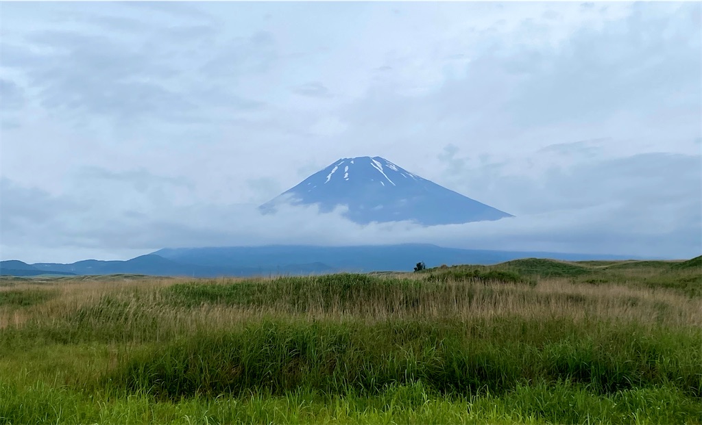 f:id:linmu41:20210616175721j:image f:id:linmu41:20210616175721j:image