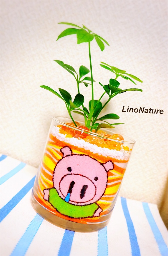 f:id:linonature:20160223172751j:image f:id:linonature:20160223172751j:image