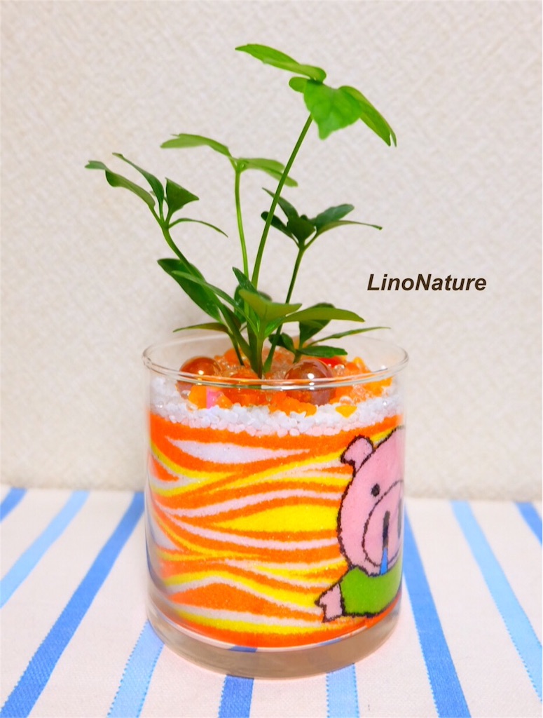 f:id:linonature:20160223172826j:image f:id:linonature:20160223172826j:image