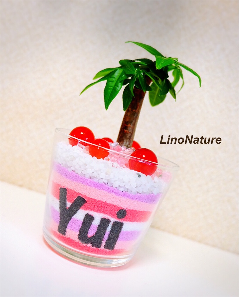 f:id:linonature:20160223174344j:image f:id:linonature:20160223174344j:image