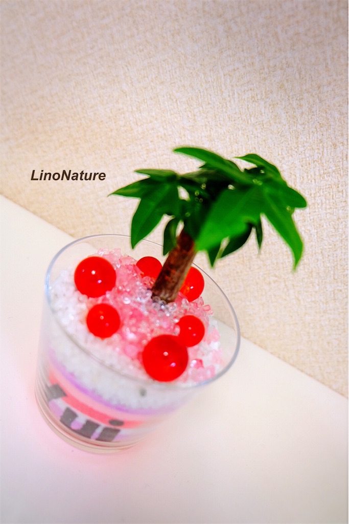 f:id:linonature:20160223174359j:image f:id:linonature:20160223174359j:image