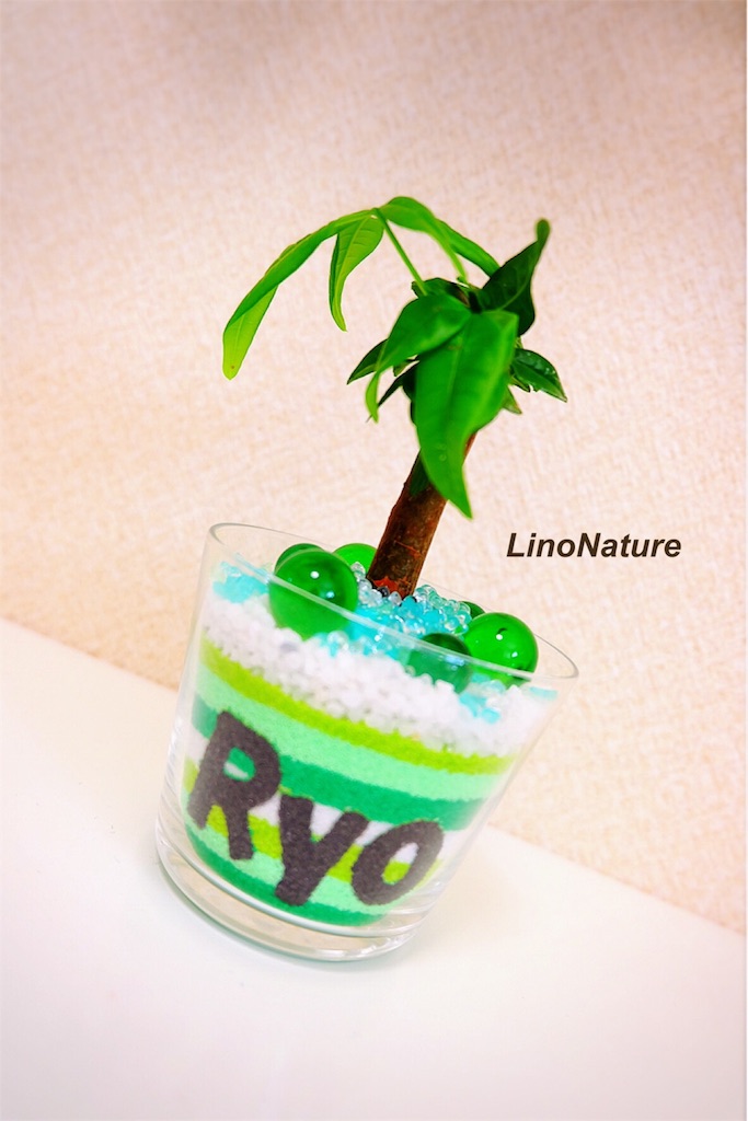 f:id:linonature:20160223174558j:image f:id:linonature:20160223174558j:image