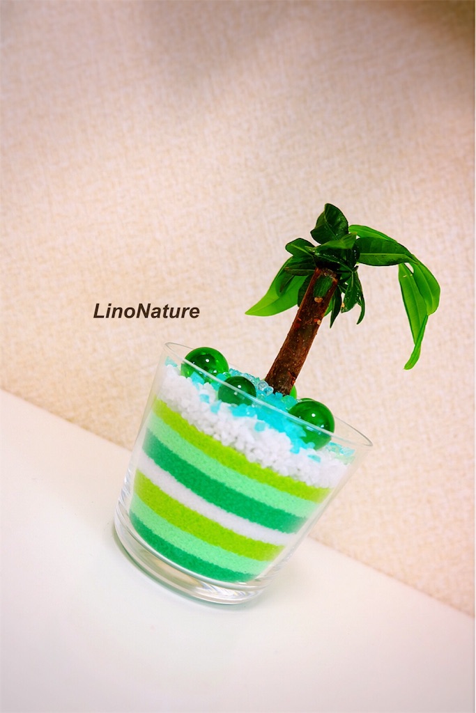 f:id:linonature:20160223174631j:image f:id:linonature:20160223174631j:image
