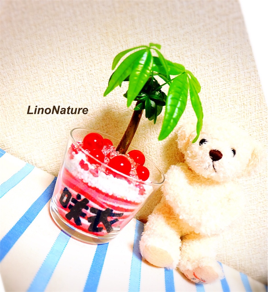 f:id:linonature:20160223180646j:image f:id:linonature:20160223180646j:image
