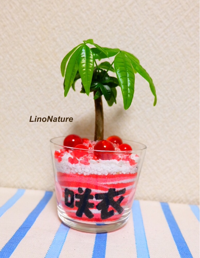 f:id:linonature:20160223180700j:image f:id:linonature:20160223180700j:image