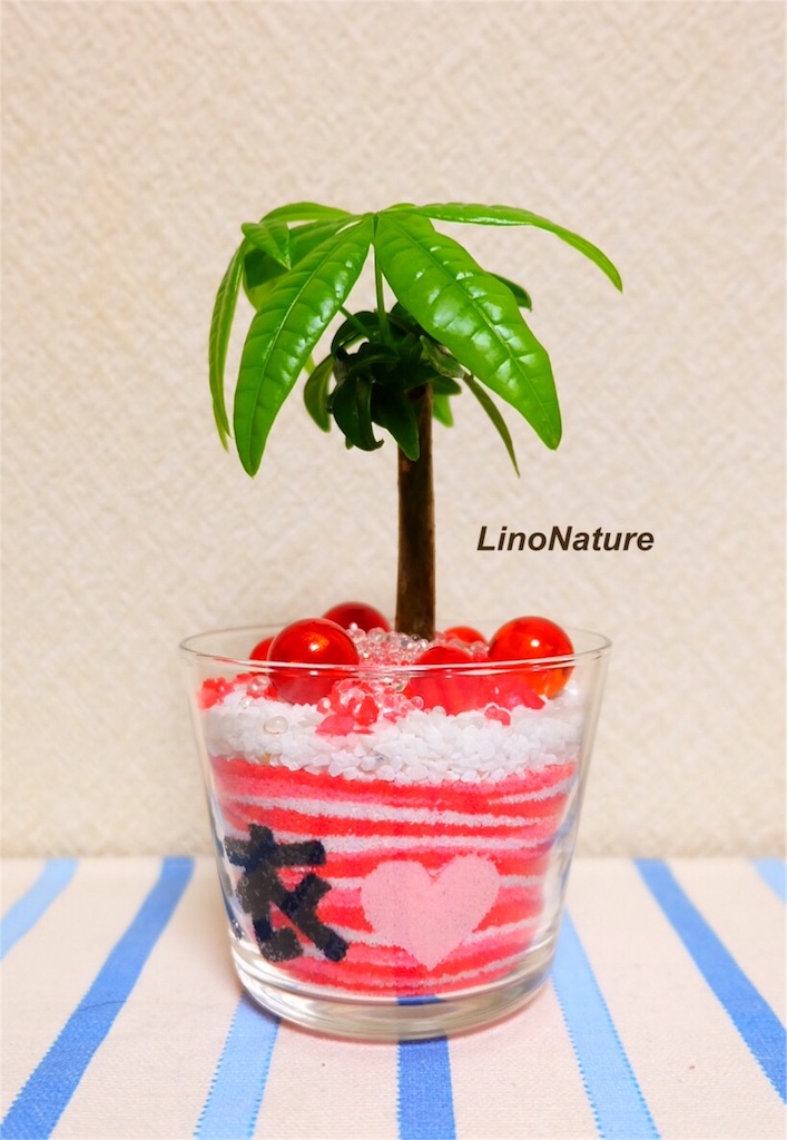 f:id:linonature:20160223180718j:image f:id:linonature:20160223180718j:image