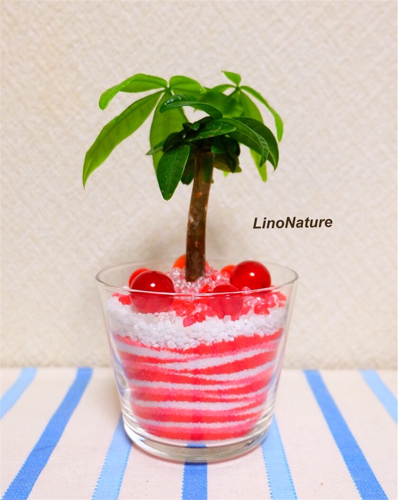f:id:linonature:20160223180733j:image f:id:linonature:20160223180733j:image