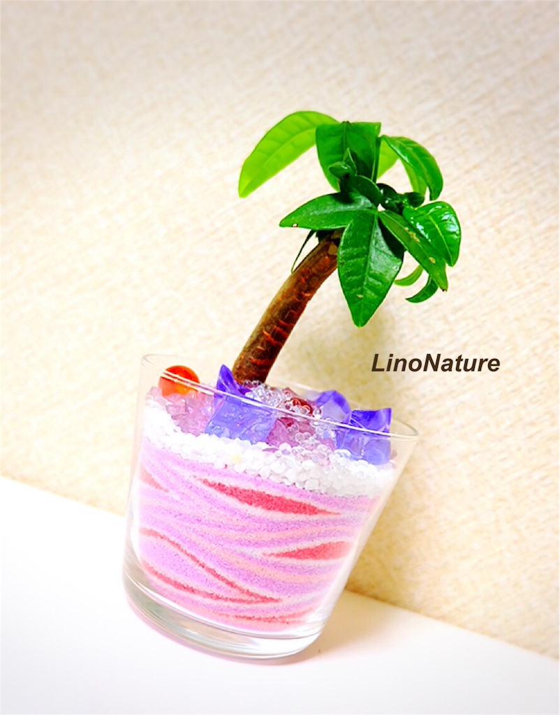f:id:linonature:20160223202550j:image f:id:linonature:20160223202550j:image