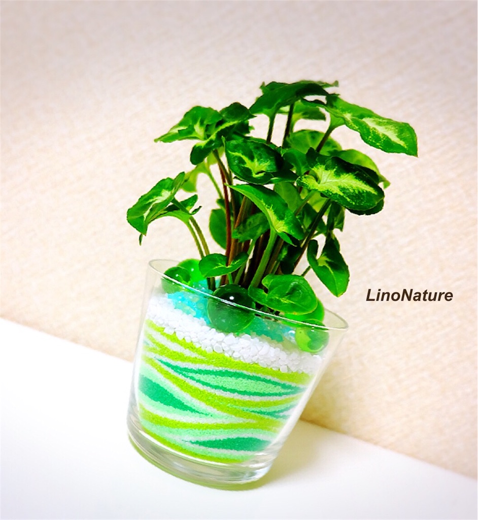 f:id:linonature:20160223202557j:image f:id:linonature:20160223202557j:image