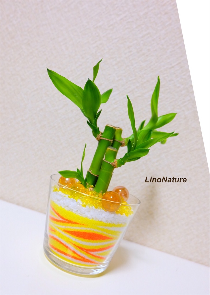 f:id:linonature:20160223202614j:image f:id:linonature:20160223202614j:image