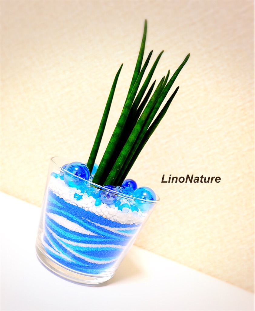 f:id:linonature:20160223202627j:image f:id:linonature:20160223202627j:image